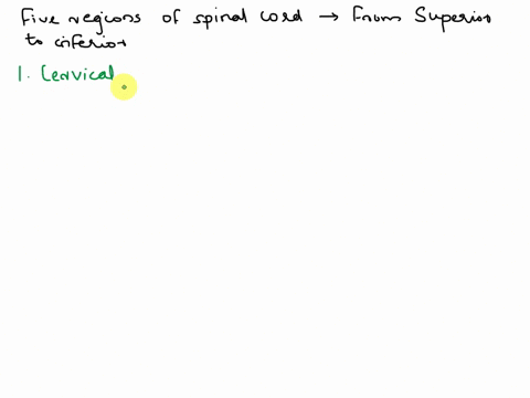 order-of-five-regions-of-the-spinal-cord-place-the-following-regions-of-the-spinal-cord-in-order-from-superior-to-inferior-sacral-thoracic-lumbar-coccygeal-cervical-29262