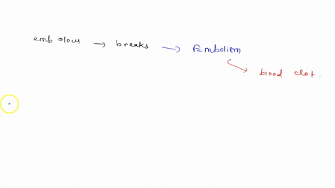 systemic-vein-in-the-leg-would-be-able-dix-through-if-an-embolis-breaks-off-in-u-ll-il-lul-kt-would-occlude-ifan-embolus-formed-in-the-left-ventricle-it-would-be-able-pass-through-would-occl-32845