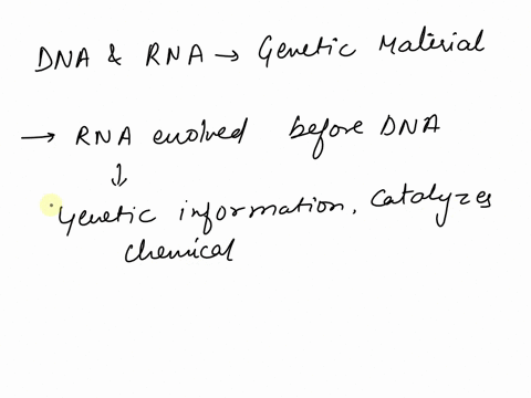 why-do-scientists-think-that-rna-may-have-evolved-before-dna-95093