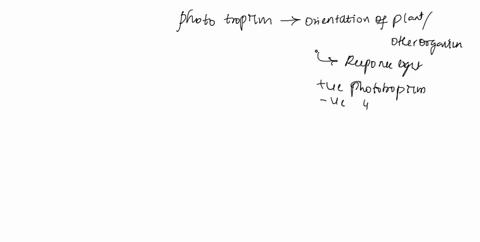 match-each-of-the-following-with-the-type-of-tropism-describes-or-illustrates-grow-toward-light-phototropism-gravitropism-thigmotropism-directional-response-iouch-stems-grow-up-and-roots-gro-92664
