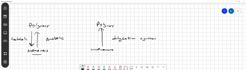 which-of-the-following-reactions-combines-two-monomers-to-produce-a-polymer-a-dehydration-b-hydrolysis-c-phosphorylation-d-none-of-the-above-are-correct