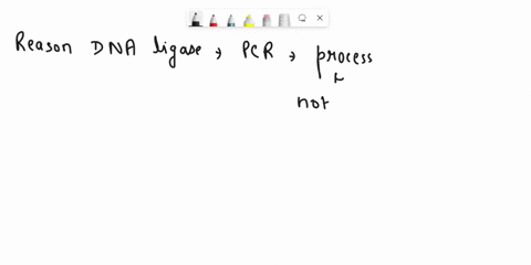 as-a-reminder-pcr-is-the-technique-used-to-replicate-dna-in-the-lab-pcr-is-based-on-the-way-dna-is-replicated-in-cells-during-pcr-template-dna-plus-other-ingredients-are-placed-in-a-test-tub-66573