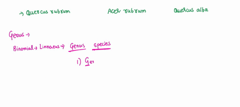 which-of-the-following-pairs-would-reside-in-the-same-genus-a-quercus-rubrum-b-acer-rubrum-c-quercus-alba-a-and-b-none-of-these-animals-are-in-the-same-genus-b-and-c-a-and-c-16513