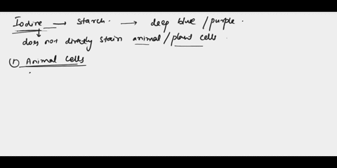 iodine-is-used-to-detect-the-presence-of-starch-in-cells-because-it-stains-starch-deep-blue-if-an-animal-cell-and-a-plant-cell-are-treated-with-iodine-what-would-be-observed-64673