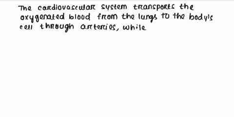 how-does-the-cardiovascular-system-and-respiratory-system-provide-oxygen-to-cells-23436