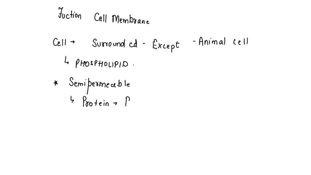 SOLVED: '11.36 PM Fri Oct 9 0 28%/0 [ T 0 6 0 List - functions of the ...