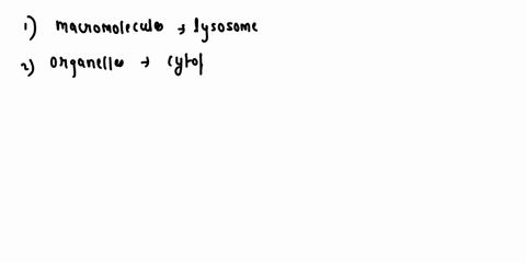 ytoskeleton-choose_-digests-macromolecules-and-cell-parts-substance-that-holds-organelles-in-place-carry-out-protein-synthesis-outer-surface-that-shapes-and-supports-the-cell-cylinders-of-mi-17148