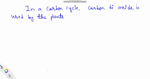 which-statement-describes-the-relationship-between-plants-animals-and-the-carbon-cycle-plants-use-carbon-and-release-oxygen-and-animals-release-carbon-and-use-oxygen-animals-use-carbon-and-r-13717