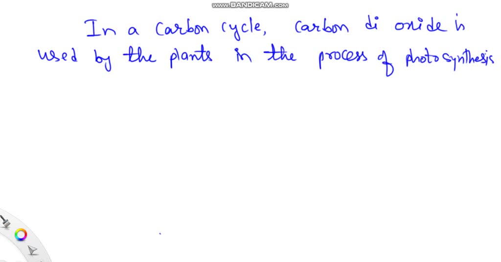 SOLVED: Which statement describes the relationship between plants, animals,  and the carbon cycle? Plants use carbon and release oxygen, and animals  release carbon and use oxygen. Animals use carbon and release oxygen,