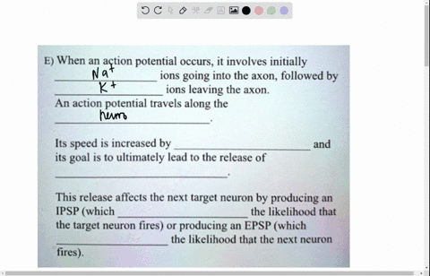 action-potential-pts-e-when-an-action-potential-occurs-it-involves-initially-ions-going-into-the-axon-followed-by-ions-leaving-the-axon-an-action-potential-travels-along-the-its-speed-is-inc-60875
