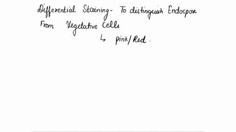 part-a-the-endospore-stain-how-are-the-differences-between-the-endospore-and-the-vegetative-cell-highlighted-in-the-endospore-staining-procedure-why-must-steam-be-used-to-force-malachite-gre-52207