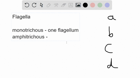 question-5-which-of-the-following-terms-describe-flagella-that-occur-on-one-or-both-poles-of-bacterial-cells-lophotrichous-archaellum-peritrichous-amphitrichous-68934