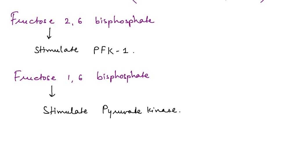 SOLVED Regulation of Glycolysis. Matching question Fructose 2,6