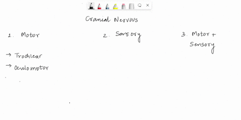 place-the-following-cranial-nerves-in-the-appropriate-categories-based-on-function-is-purely-motor-in-nature-oculomotor-n-glossopharyngeal-n-trochlear-n-facial-n-is-purely-sensory-in-nature-08383