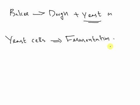 what-happens-when-a-baker-prepares-a-dough-by-mixing-yeast-in-it-15597