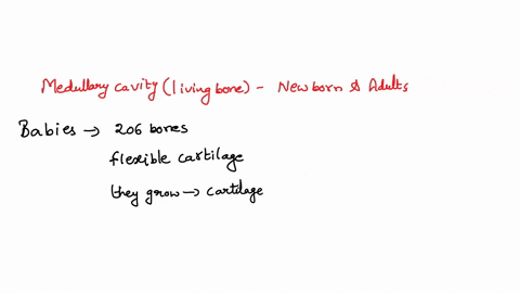 what-fills-the-medullary-cavity-of-living-bone-the-medullary-cavity-of-the-living-bone-is-filled-with-yellow-bone-marrow-b-how-does-the-function-of-this-tissue-differ-in-adults-vs-newborns-h-93942