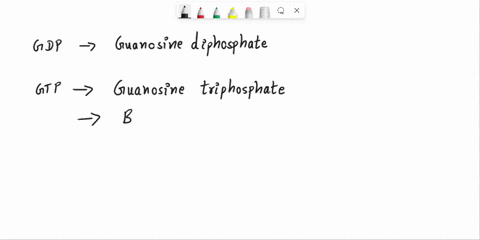many-cellular-enzymes-are-regulated-by-the-noncovalent-binding-of-gtp-and-gdp-such-that-they-are-act-58258