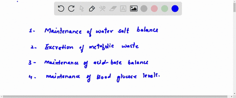which-of-the-following-is-not-a-function-of-the-urinary-system-maintenance-of-water-salt-balance-excretion-of-metabolic-wastes-maintenance-of-acid-base-balance-maintenance-of-blood-glucose-l-77287