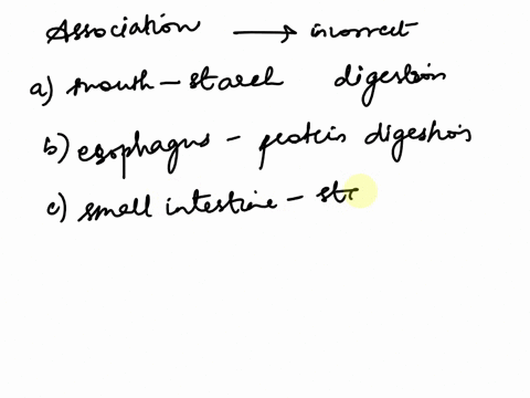 which-association-is-incorrect-a-mouth-starch-digestion-b-esophagus-protein-digestion-c-small-inte-4-56717