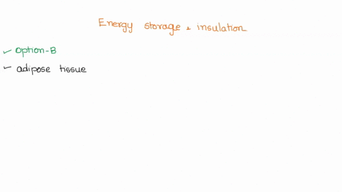 question-4-2-pts-which-component-provides-energy-storage-and-insulation-what-type-of-tissue-is-it-ligament-muscle-tissue-adipose-connective-tissue-ligament-connective-tissue-adipose-epitheli-51893