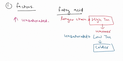 which-of-the-following-factors-would-tend-t0-increase-memoe-fluidity-greater-proportion-unsaturated-phospholipids-greater-proportion-saturated-phospholipids-lower-temperature-relatively-high-80278