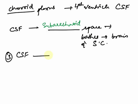 drag-lhe-text-blocka-below-inlo-ihelr-correcl-order-choroid-plexus-in-the-fourth-ventricle-adds-more-csf-csf-fills-the-subarachnoid-space-and-bathes-extemal-surfaces-of-brain-and-spinal-cord-38227