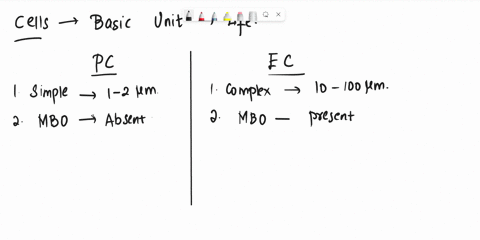 explain-the-differences-between-eukaryotic-and-prokaryotic-cells-69696