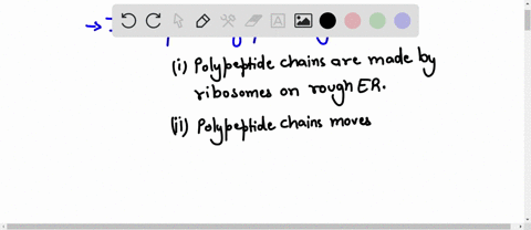 arrange-the-following-in-the-correct-sequence-1-polypeptide-chaines-move-through-the-rough-er-and-are-then-carried-in-vesicles-to-the-golgi-apparatus-2-vesicles-are-pinched-off-from-the-golg-30023