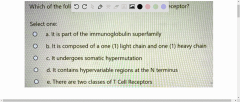 which-of-the-following-does-not-describe-the-t-cell-receptor-select-one-a-it-is-part-of-the-immunoglobulin-superfamily-b-it-is-composed-of-a-one-1-light-chain-and-one-1-heavy-chain-c-it-unde-61974