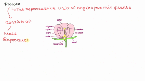 which-of-the-following-structures-is-not-part-of-the-pistil-a-ovule-b-ovary-c-style-d-anther-e-stigm-98157