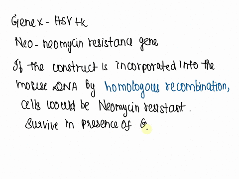 part-a-your-sludert-uying-cicaie-gene-knackoul-mcuse-hastocysts-he-designed-his-coastruct-follows-introduciny-lecounnane-c-ousichrlo-bumonvont-stem-es-cells_-5elecung-transiomants-and-introd-43924