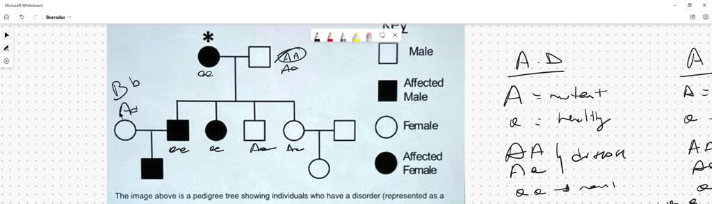 Solved Key Male Affected Male Female Affected Female The Image Above Is A Pedigree Tree Showing 0608