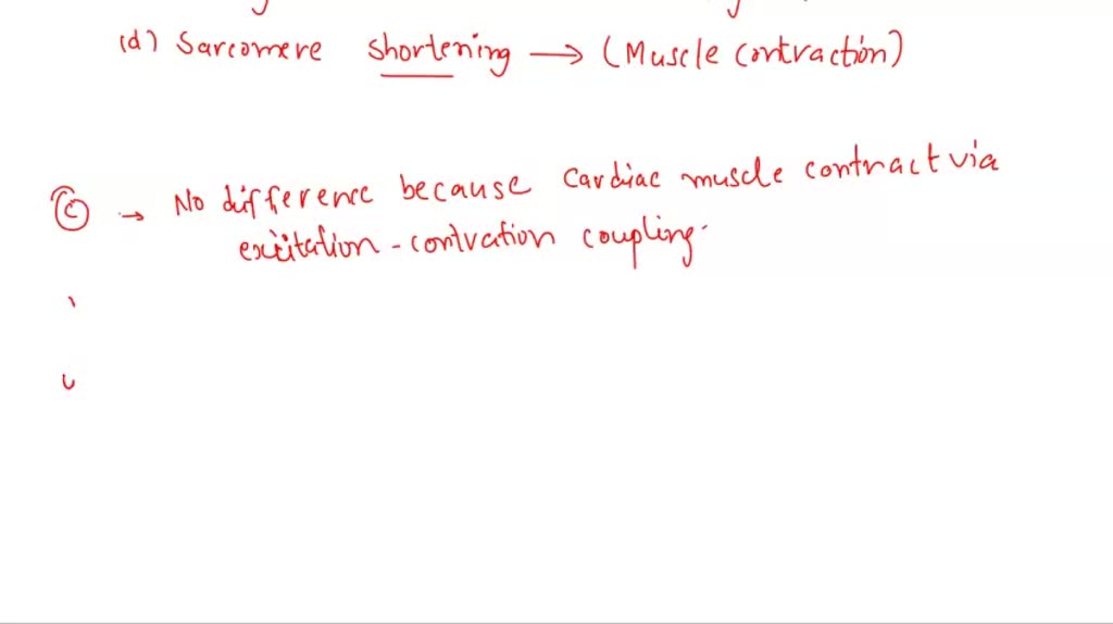 SOLVED: Which of the following is NOT a source of potential at the body ...