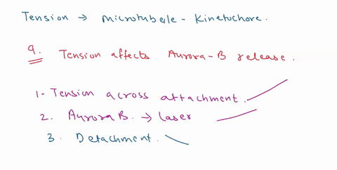 this-figure-is-from-study-that-looked-at-the-effect-of-tension-on-the-stability-ofthe-microtubule-kinetochore-interaction-in-this-study-they-were-looking-at-purified-kinetochores-that-did-no-81646