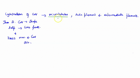 explain-the-structural-composition-and-functions-of-microtubules-actin-filaments-and-intermediate-filaments-12632