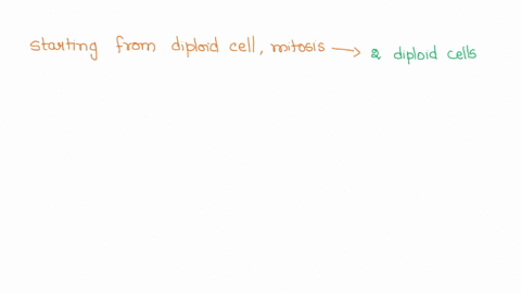 4-points-fill-the-blanks-starting-from-a-diploid-cell-mitosis-results-in-how-many-diploid-or-haploid-cells-meiosis-results-in-how-many-diploid-or-haploid-cells-28884