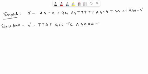 the-following-is-the-template-strand-of-the-dna-molecule-please-show-the-sense-strand-of-dna-the-mrna-the-trna_-and-the-sequence-of-amino-acids-in-the-small-peptide-made_-template-aatacggagt-10926