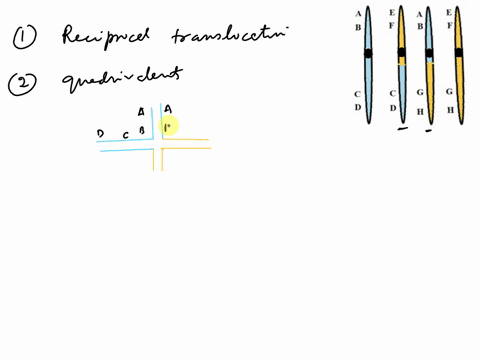 chromosomal-woman-who-sought-genetic-counseling-is-found-to-be-heterozygous-for-and-third-chromosomes-her-chromosomes-compared-rearrangement-between-the-second-those-in-normal-karyotype-are-46566