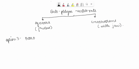 033-1-pts-question-5-which-three-of-the-following-six-statements-regarding-the-fishes-myxinoidea-petromyzontida-chrondrichthyes-actinopterygii-and-sarcopterygii-are-true-select-all-three-cor-21304