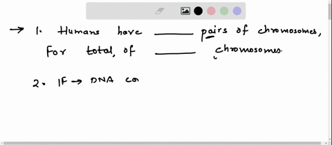 interphase-mitotic-m-phase-g1-cell-grows-s-phase-dna-replication-g2-prepares-for-mitosis-karyokinesis-nuclear-division-prophase-metaphase-anaphase-telophase-cytokinesis-redraw-g1-dna-chromos-24567