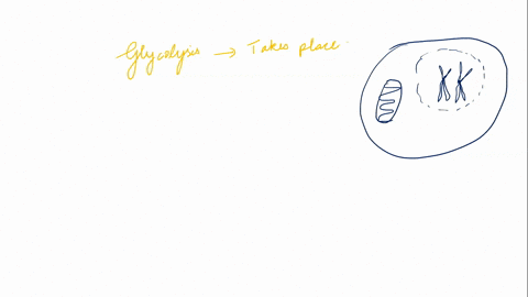 where-in-the-cell-does-glycolysis-occur-complete-the-following-reaction-which-describes-the-overall-process-of-glycolysis_-step-glucose-adp-nad-draw-the-overall-coupled-reaction-showing-the-72141
