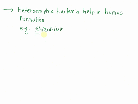 heterotrophic-bacteria-and-archaeans-that-are-decomposers-are-important-in-99337