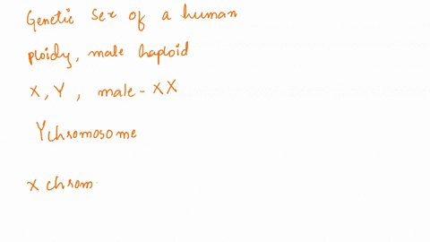 the-genetic-sex-of-a-human-is-determined-by-a-ploidy-with-the-male-being-haploid-b-the-y-chromosom-2-12168