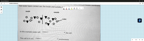 in-this-example-of-osmosis-the-solute-triangles-cannot-cross-the-but-water-open-circles-selectively-permeable-membrane-can-the-inside-and-outside-of-the-cell-are-indicated-inside-outside-wat-31327