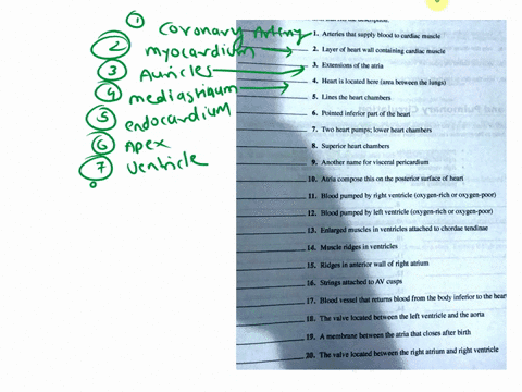 27-fill-in-the-blank-with-the-term-that-fits-the-decription-1arteries-that-supply-blood-to-cardiac-muscle-2-layer-of-heart-wall-containing-cardiac-muscle-3extensions-of-the-atria-4-heart-is-82305