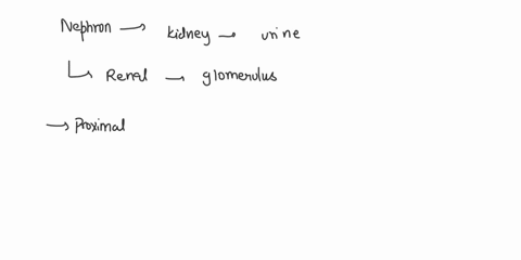 how-many-parts-are-there-in-each-nephron-and-name-them-94376