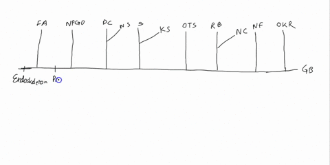 construct-an-accurate-phylogenetic-tree-using-the-following-taxa-as-tips-stingray-s-olympic-torrent-salamander-ots-northern-flicker-nf-king-salmon-ks-dungeness-crab-dc-grizzly-bear-gb-ords-k-73968