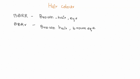 what-are-the-genotypic-ratios-of-the-offspring-from-this-cross-what-are-the-phenotypic-ratios-of-the-offspring-from-this-cross-28-now-consider-both-hair-color-b-for-the-dominant-brown-allele-88842