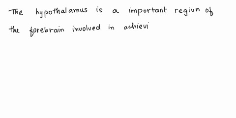 the-hypothalamus-is-an-important-region-of-what-part-of-the-brain-discuss-four-functions-it-is-involved-with-by-giving-specific-examples-and-explaining-how-it-helps-overall-in-achieving-home-82016
