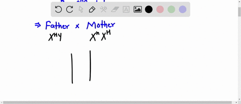 hemophilia-is-an-x-linked-recessive-gene-xh-use-a-capital-x-to-denote-the-x-chromosome-use-the-superscript-h-or-h-to-represent-the-trait-capital-dominant-lower-case-recessive-for-example-the-16335